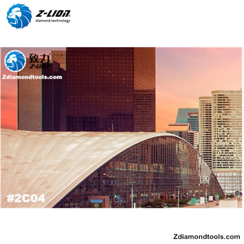 2019 Den 10: e Kina-ytpoleringsutställningen # Z-LION DIAMOND TOOLS